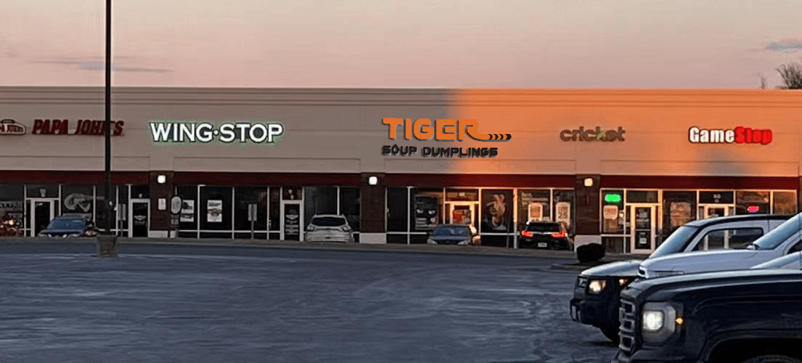 Tiger Soup Dumplings （FENTON）