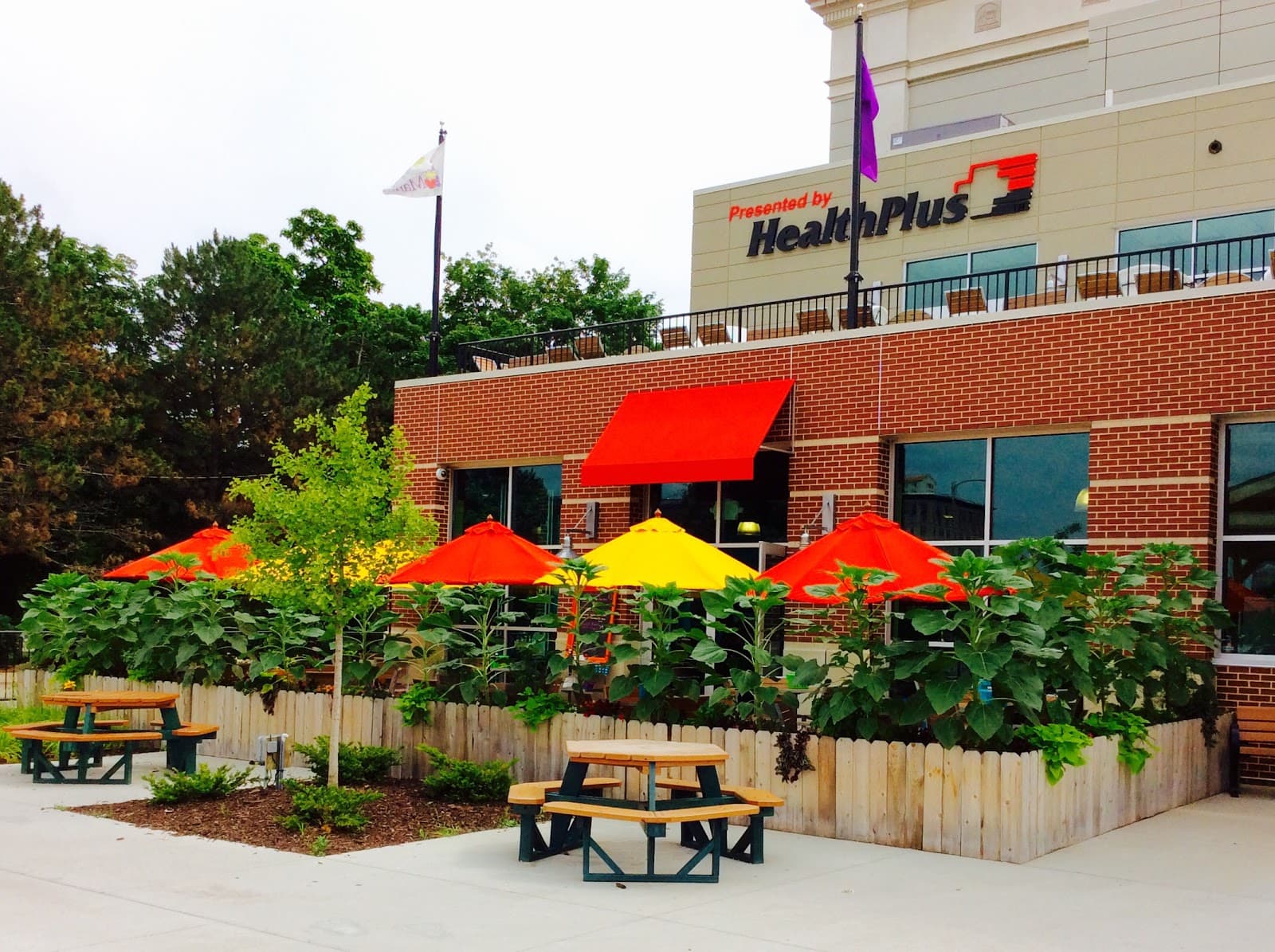 Steady Eddy’s Cafe