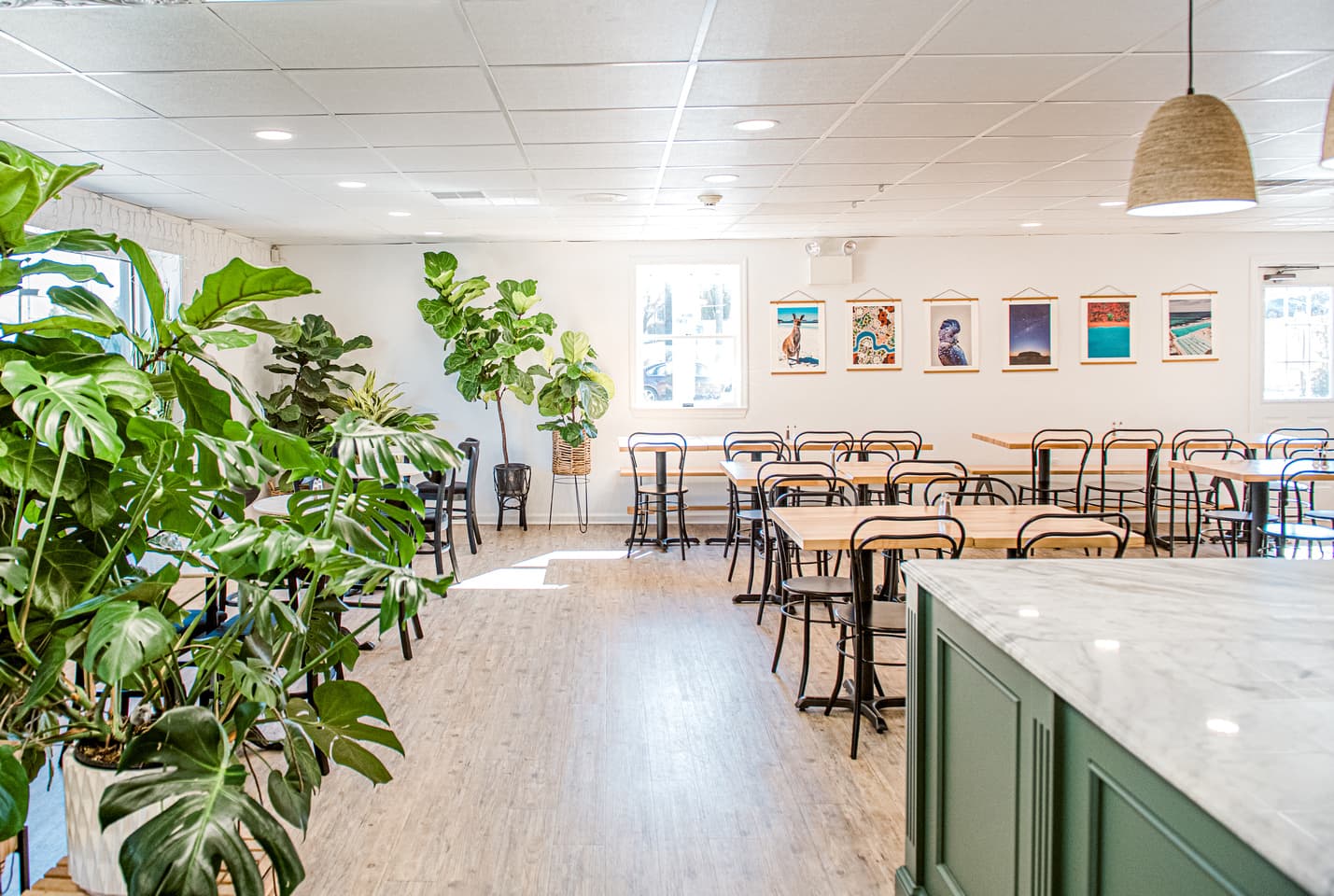 Hudson Botanical - Café | Catering | Houseplants